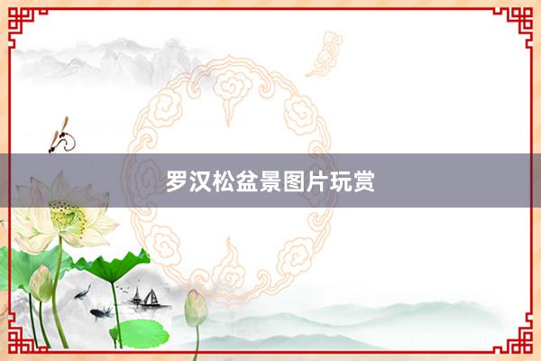 罗汉松盆景图片玩赏