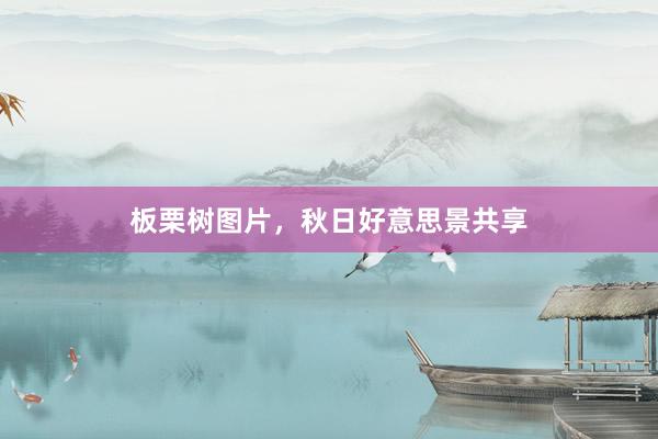板栗树图片，秋日好意思景共享